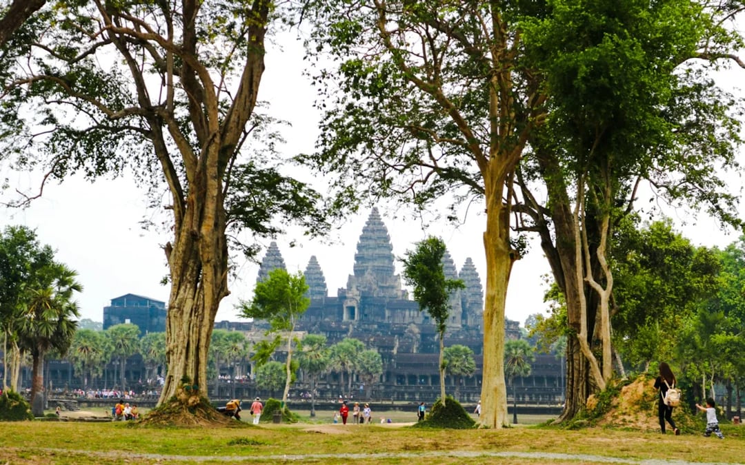 Angkor Wat Sunrise or Sunset Guided Tour with Bayon and Ta Prohm Image 3