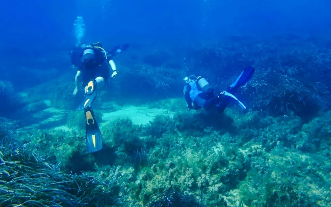 Antalya 2-Dive Scuba Boat Trip with Lunch and Hotel Transfers Image 4