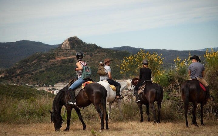 Antalya Horse Riding Experience Image 3