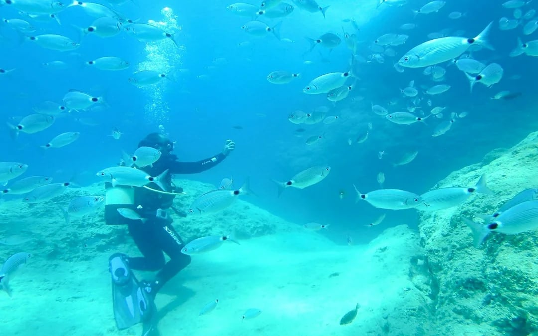 Antalya: Scuba Diving 2 Dives Image 5