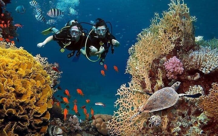 Antalya Scuba Diving & Snorkeling Tour with Lunch Image 4
