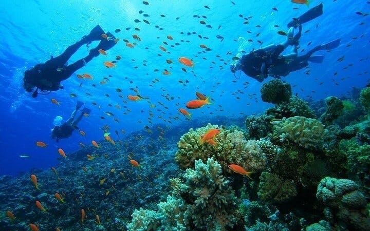 Antalya Scuba Diving & Snorkeling Tour with Lunch Image 5