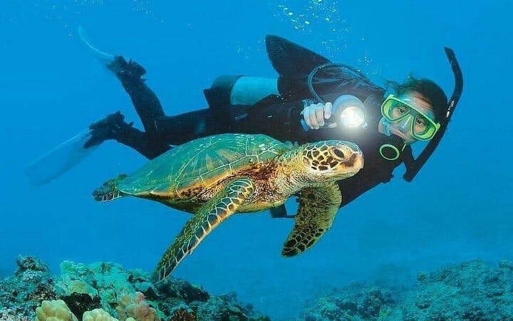 Antalya Scuba Diving & Snorkeling Tour with Lunch Image 9