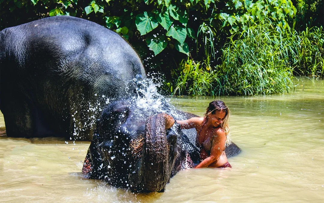 Ao Nang Elephant Sanctuary Half-Day Guided Tour with Hotel Transfers Image 1