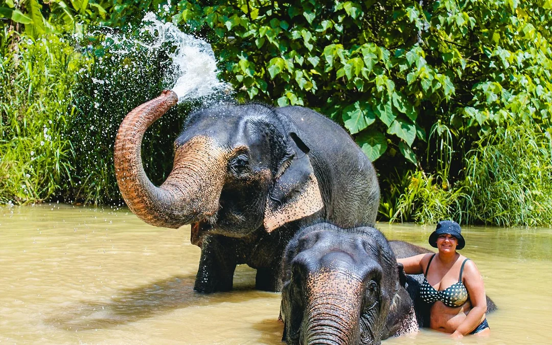 Ao Nang Elephant Sanctuary Half-Day Guided Tour with Hotel Transfers Image 7