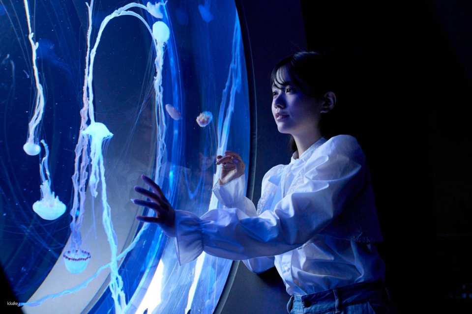 AOAO SAPPORO Aquarium (Hokkaido)