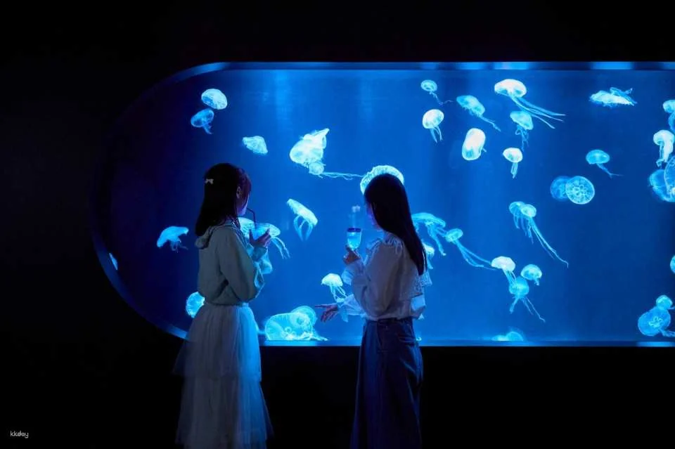 AOAO SAPPORO Aquarium (Hokkaido)