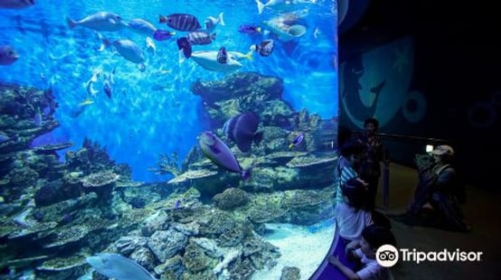Aqua Planet Yeosu