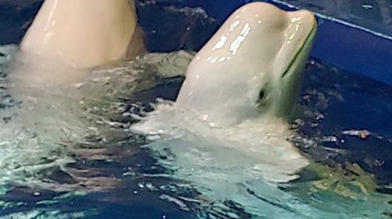 Aqua Planet Yeosu