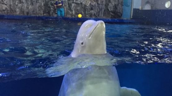 Aqua Planet Yeosu