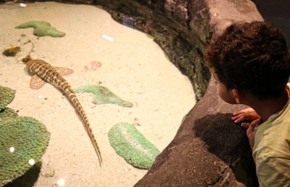 Aquaria KLCC Direct Entry Ticket in Kuala Lumpur | Malaysia
