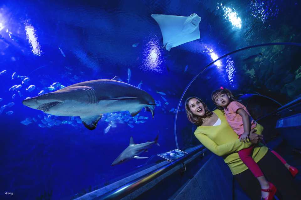 Aquaria KLCC Direct Entry Ticket in Kuala Lumpur | Malaysia
