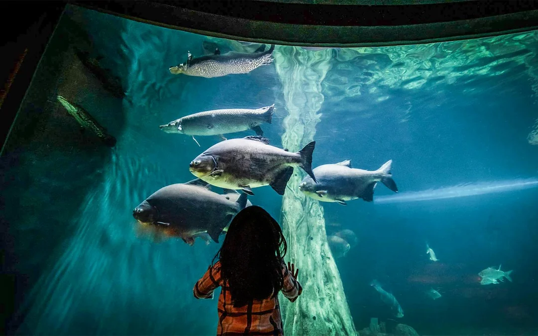 Aquaria KLCC Tickets Image 3