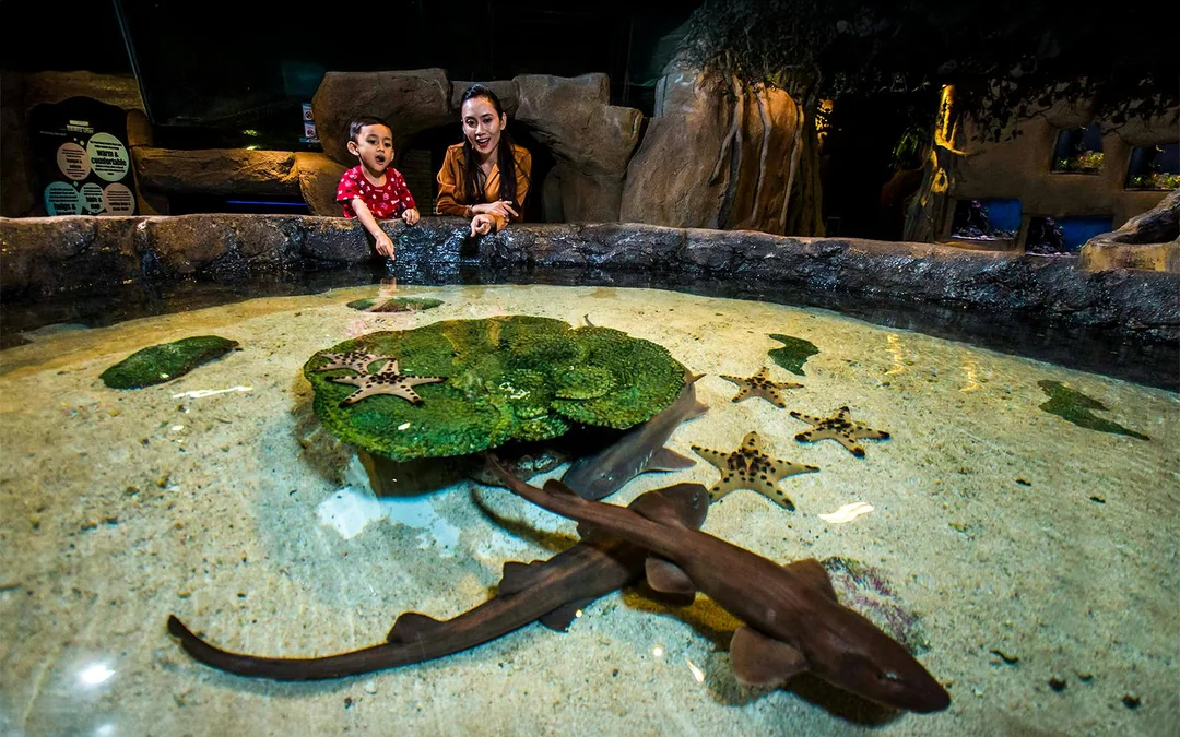 Aquaria KLCC Tickets Image 4