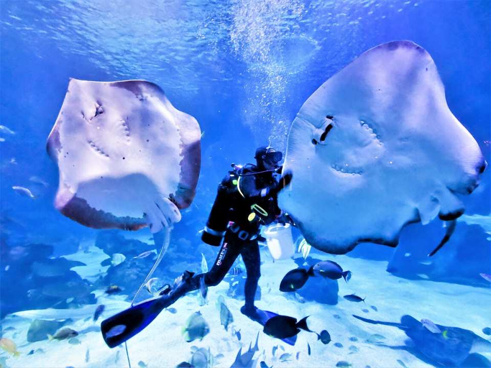 Aquaria Phuket Ticket | Thailand
