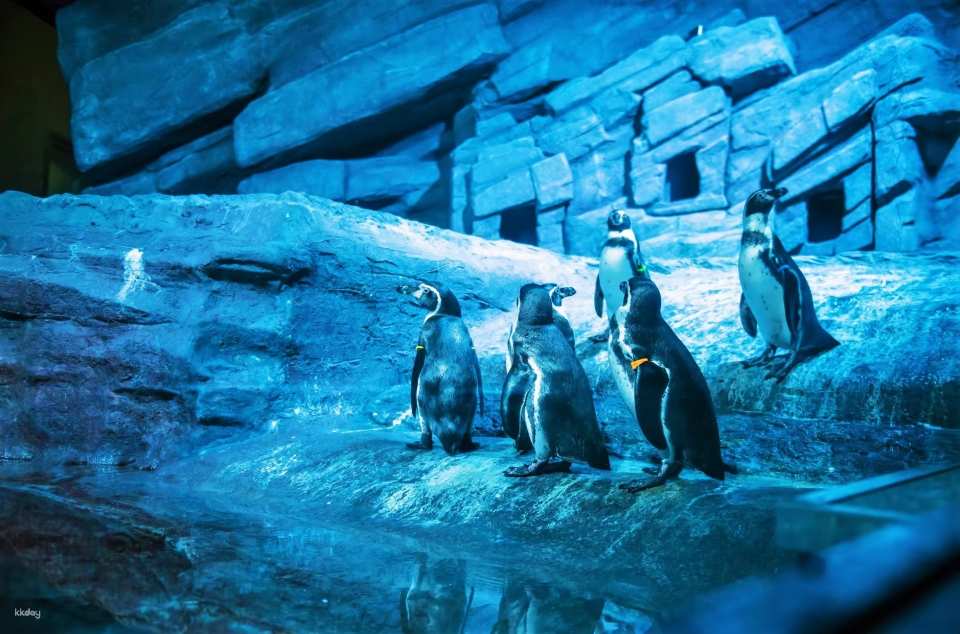 Aquaria Phuket Ticket | Thailand