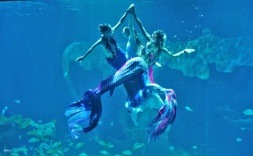 Aquaria Phuket Ticket | Thailand