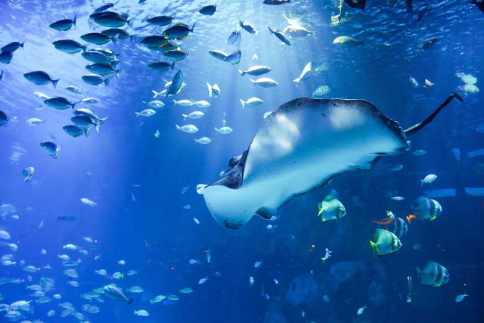 Aquaria Phuket Ticket | Thailand
