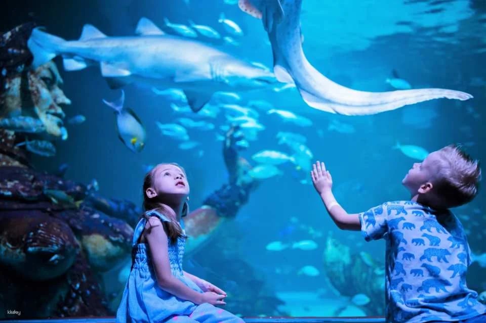 Aquaria Phuket Ticket | Thailand