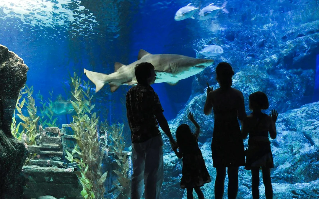 Aquaria Phuket Tickets: Group Admission for Non-Thai Residents Image 2