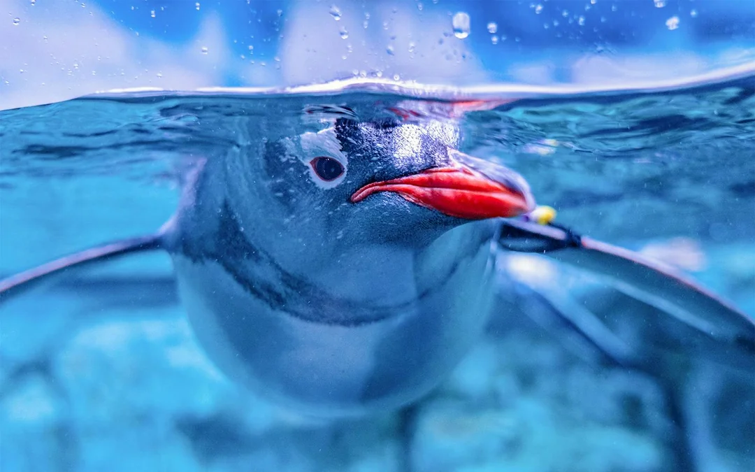 Aquaria Phuket Tickets: Group Admission for Non-Thai Residents Image 5