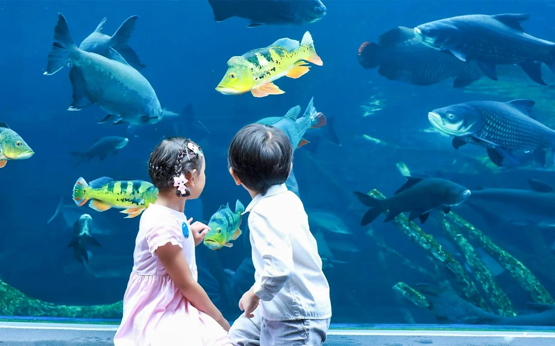 Aquaria Phuket Tickets: Non-Thai Residents Image 1