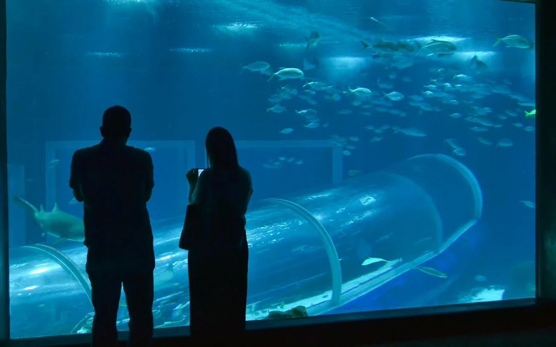 AquaRio: Rio de Janeiro Aquarium Tickets Image 12