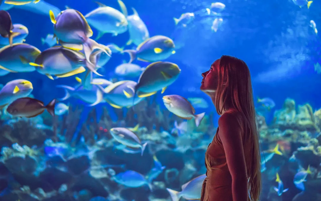AquaRio: Rio de Janeiro Aquarium Tickets Image 4