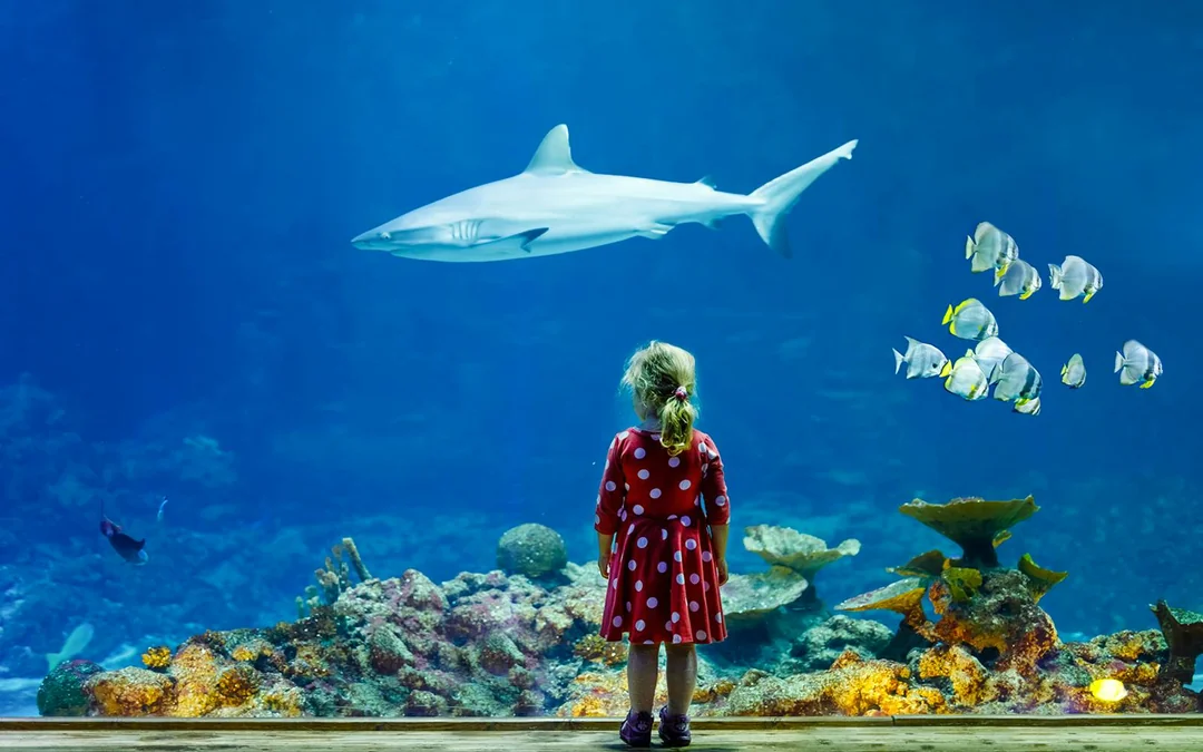 Aquarium de Paris Priority Access Tickets Image 1