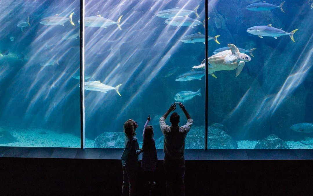 Aquarium de Paris Priority Access Tickets Image 2