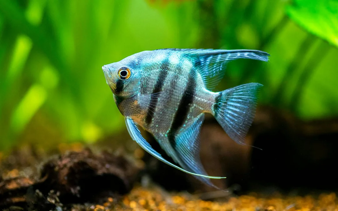 Aquarium de Paris Priority Access Tickets Image 12