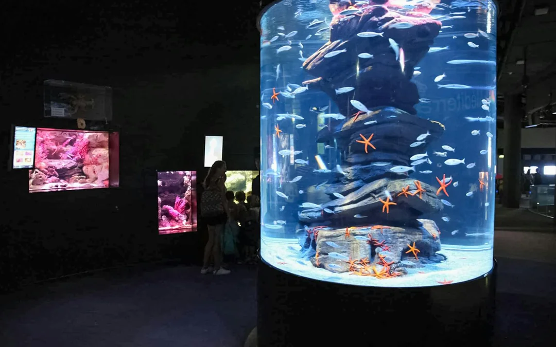 Aquarium de Paris Priority Access Tickets Image 3