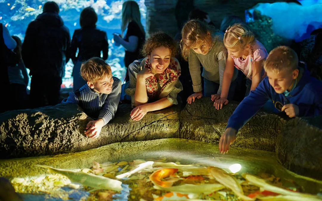 Aquarium de Paris Priority Access Tickets Image 4