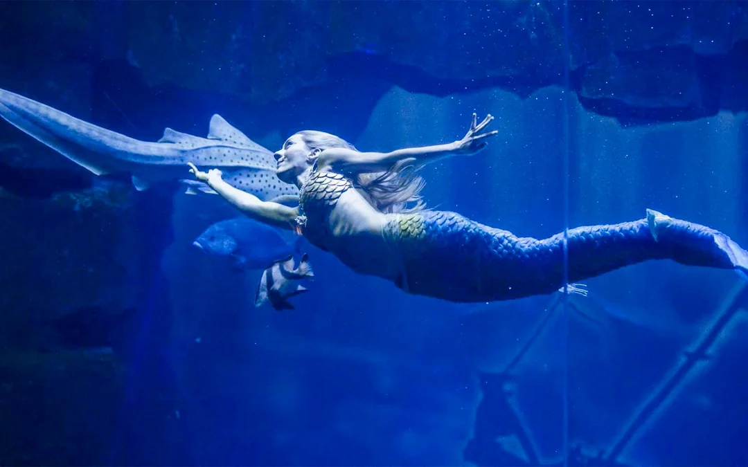 Aquarium de Paris Priority Access Tickets Image 5