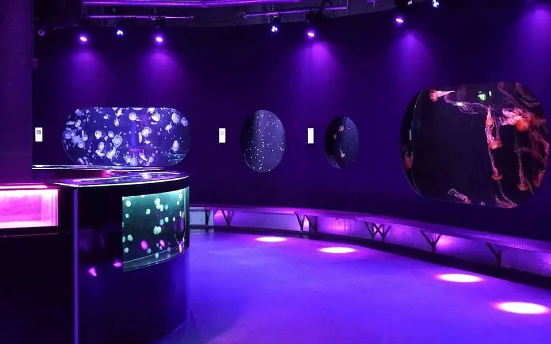 Aquarium de Paris Priority Access Tickets Image 7