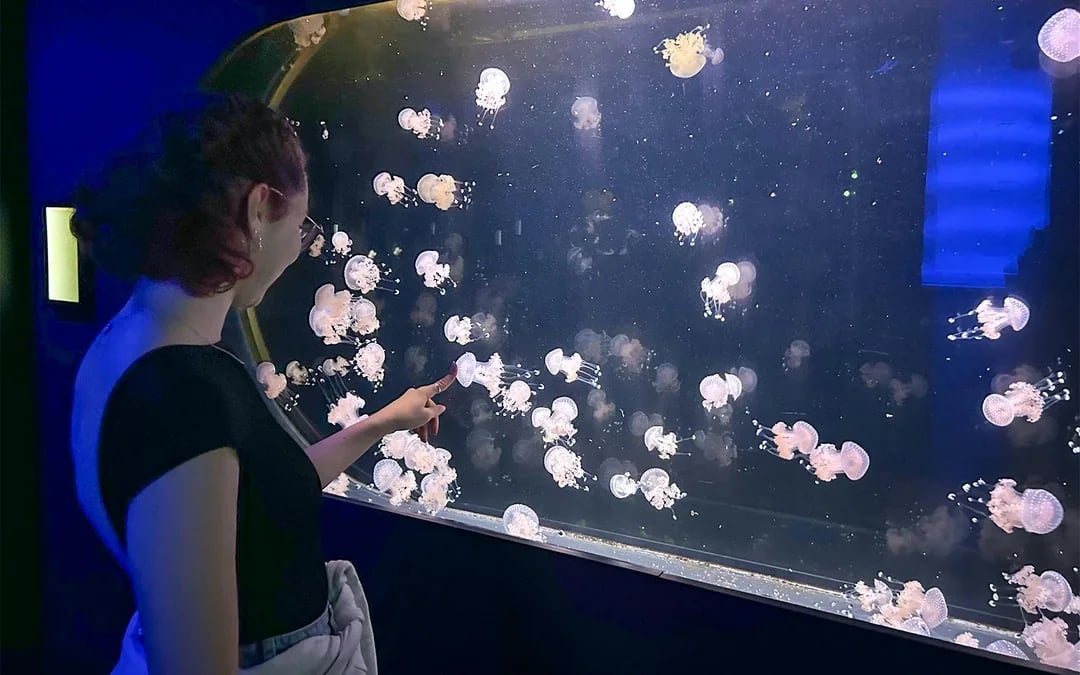 Aquarium de Paris Priority Access Tickets Image 10