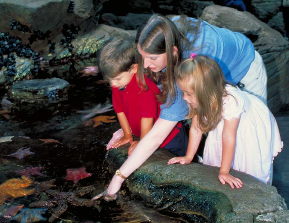 Aquarium of the Bay Admission Ticket | San Francisco