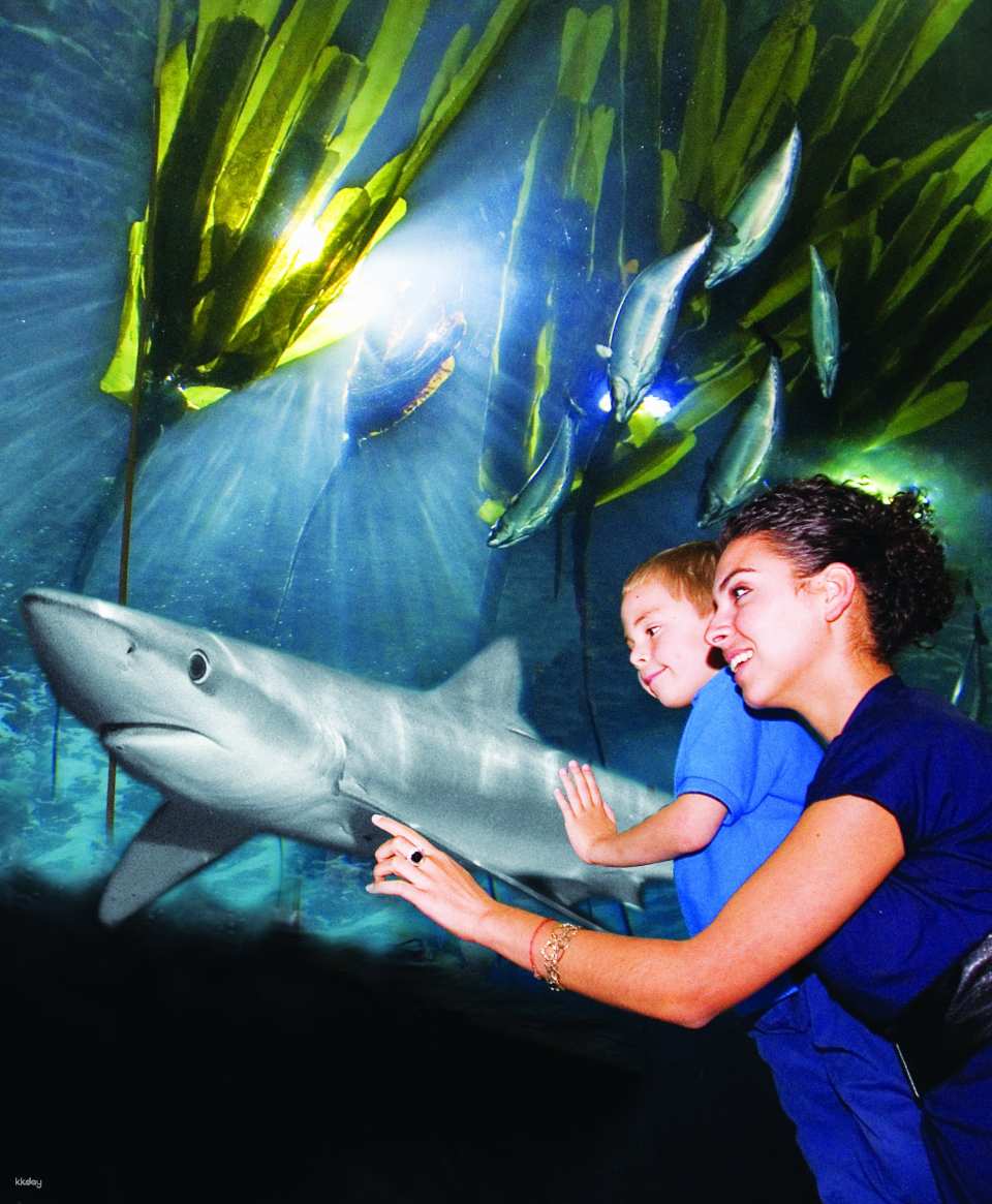 Aquarium of the Bay Admission Ticket | San Francisco