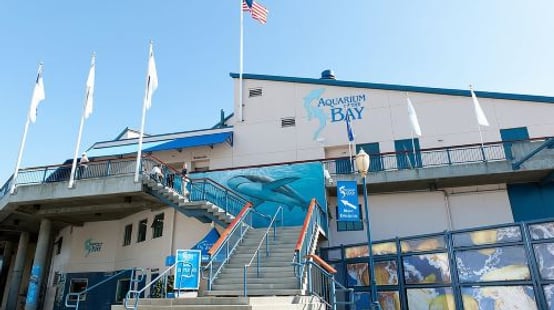 Aquarium of the Bay General Admission Ticket