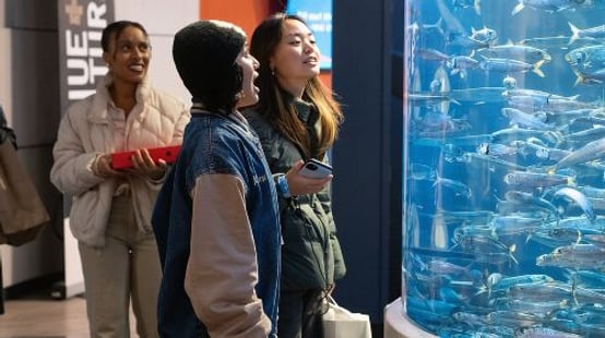 Aquarium of the Bay General Admission Ticket