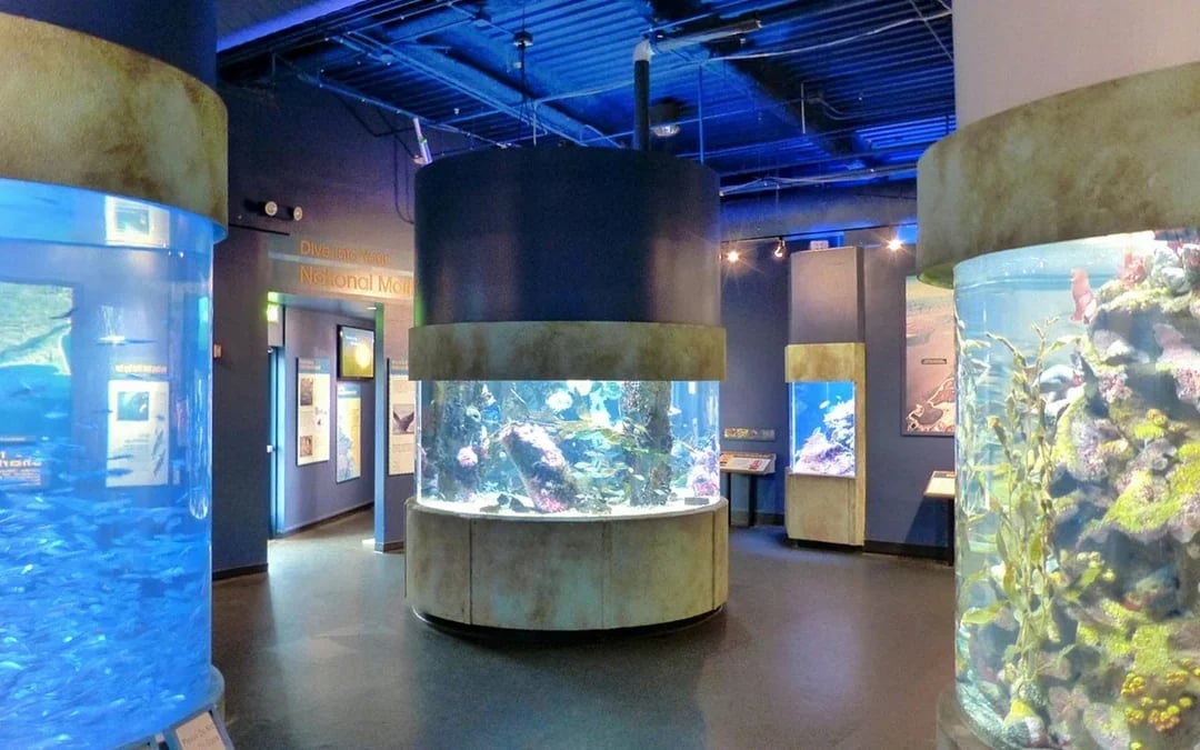 Aquarium of the Bay Tickets Image 2