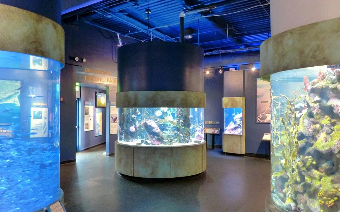Aquarium of the Bay Tickets Image 2