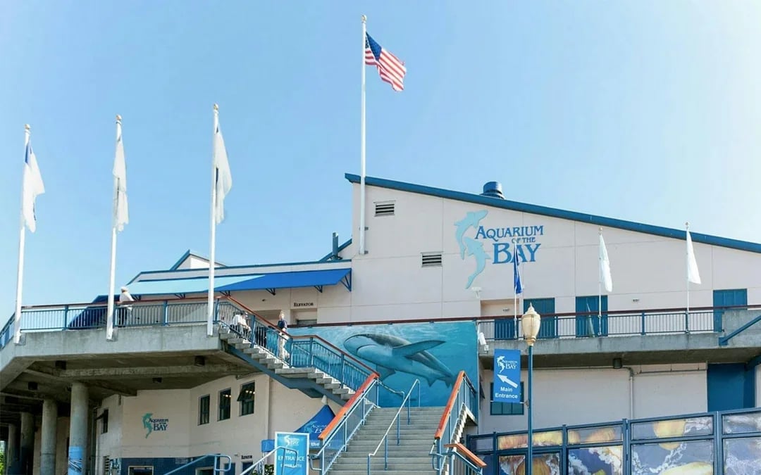 Aquarium of the Bay Tickets Image 4