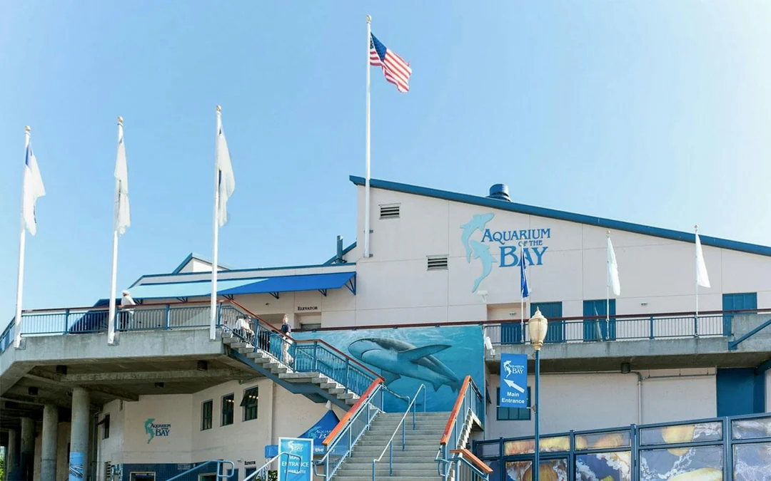 Aquarium of the Bay Tickets Image 4