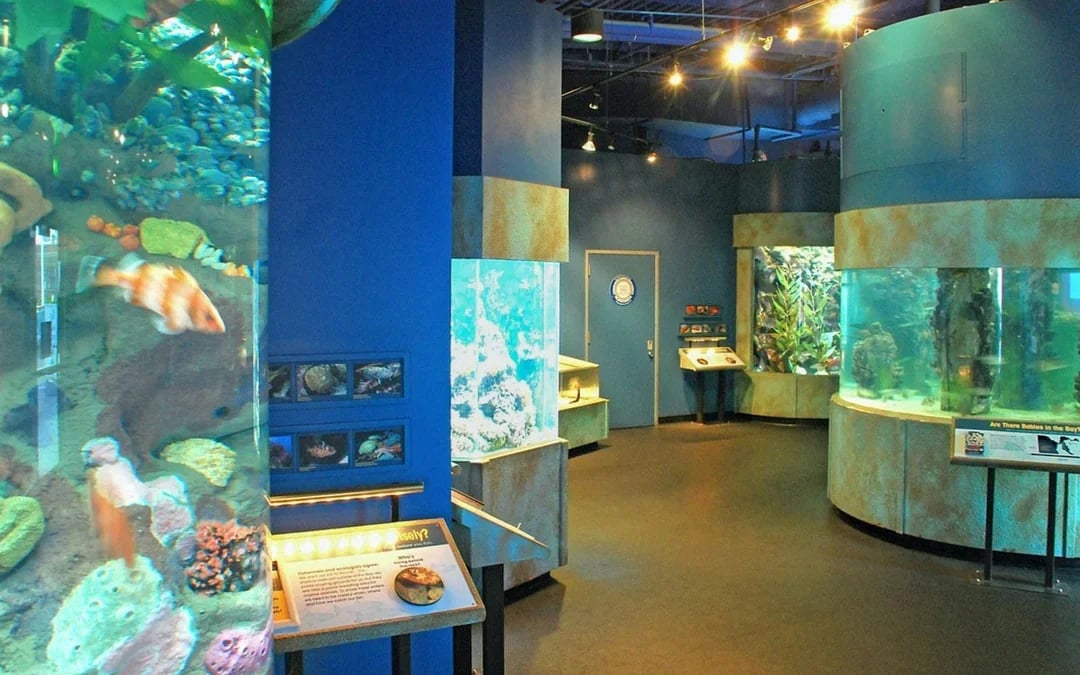 Aquarium of the Bay Tickets Image 6