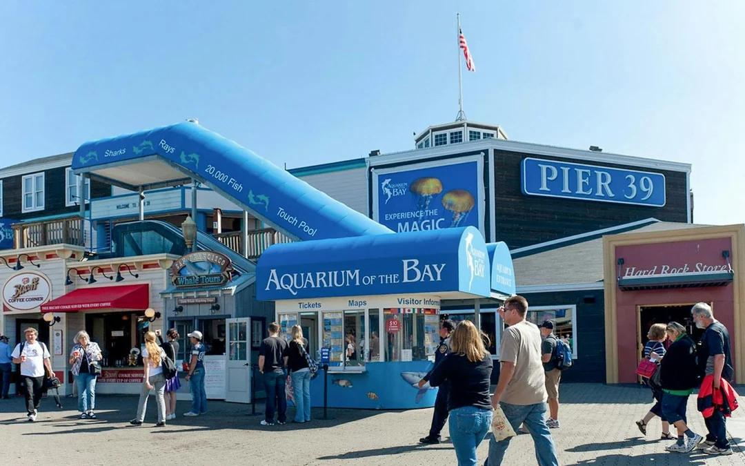 Aquarium of the Bay Tickets Image 8