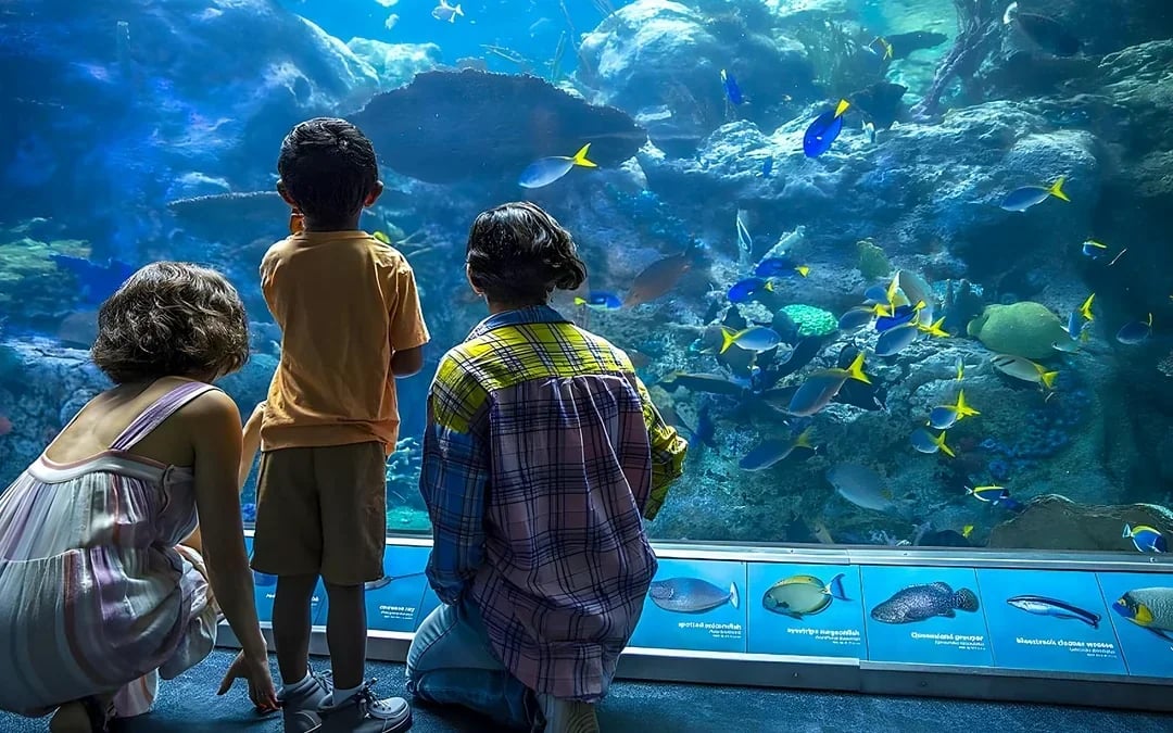 Aquarium of the Pacific Skip-the-Line Tickets Image 1