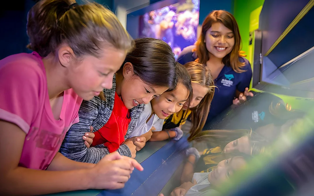 Aquarium of the Pacific Skip-the-Line Tickets Image 5