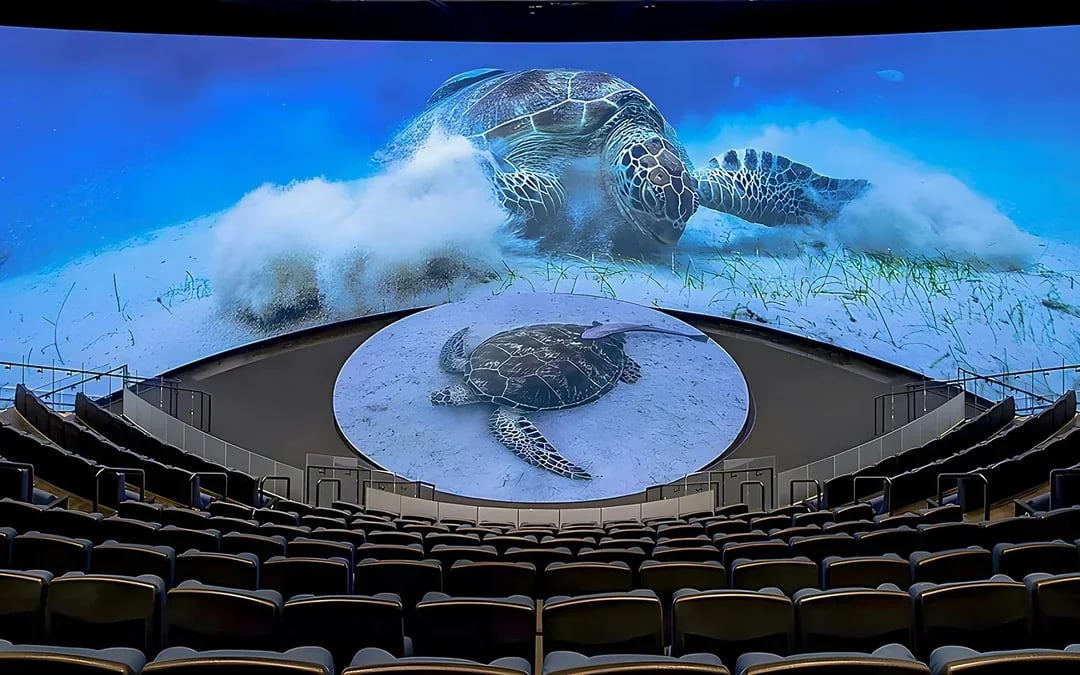 Aquarium of the Pacific Skip-the-Line Tickets Image 10