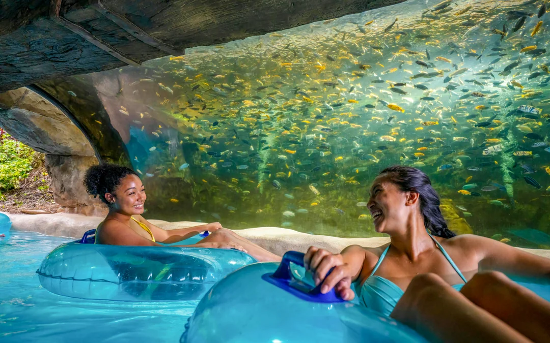 Aquatica Orlando: Entry Tickets with All-Day Dining Add-On Image 1
